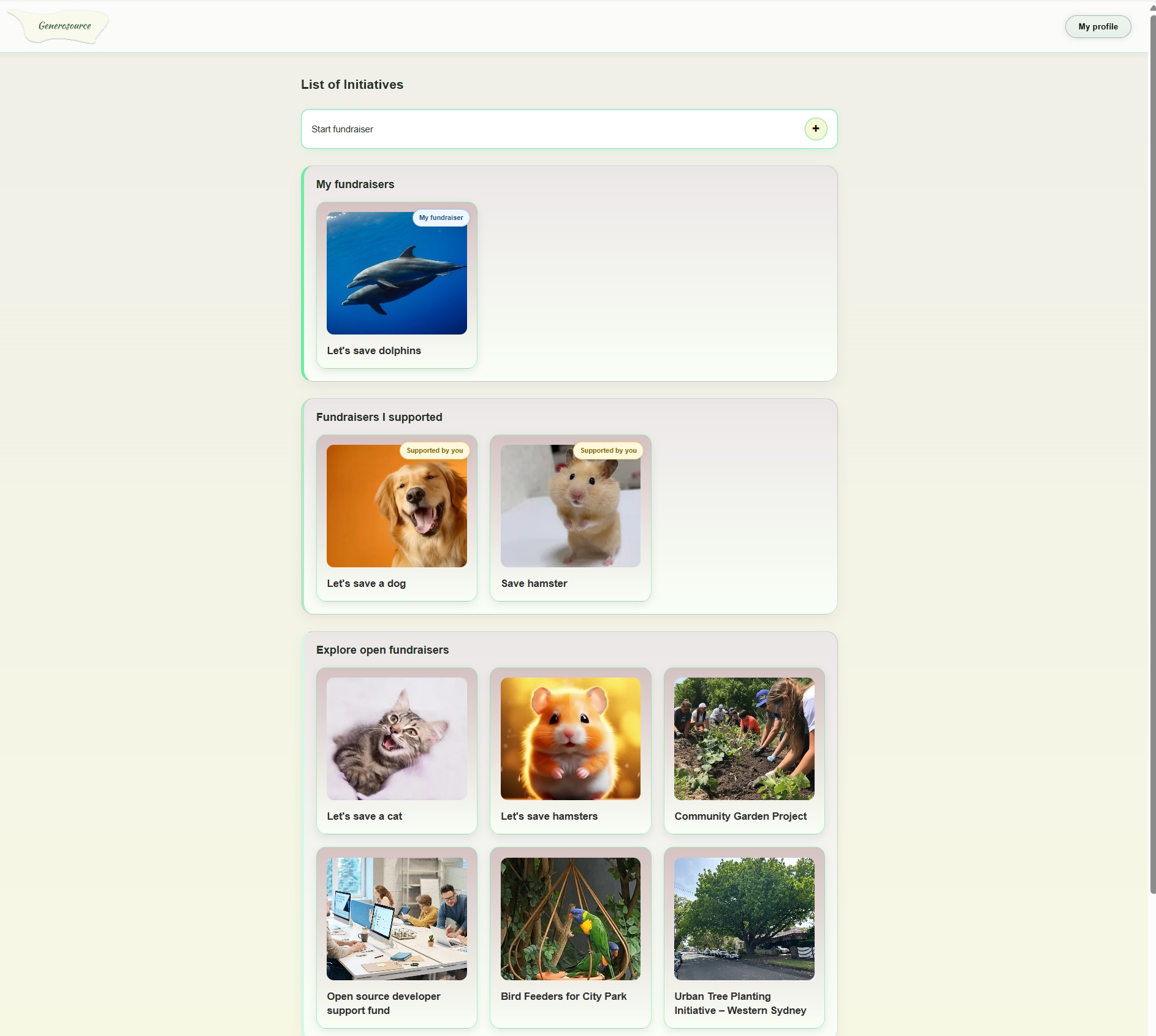 Fundraiser home page screenshot